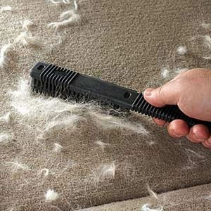 Шерсть на коврах