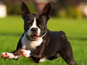 Как улучшить SEO сайта в 2025 году: проверенные методы