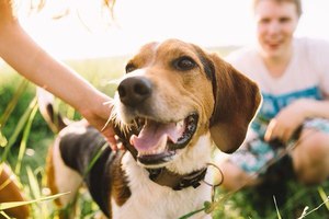 Характеристика породы