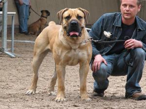 Бурбуль и хозяин