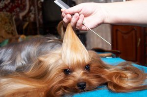 Рассчесываем правильно