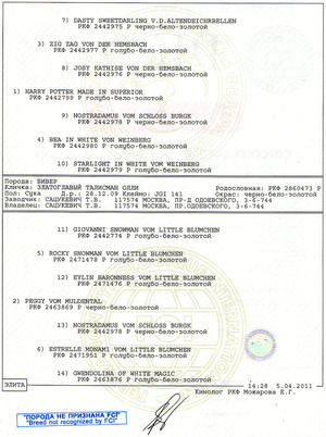 Документы на собаку