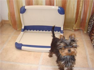 Лоток для йорка