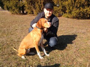 Как дрессировать поинтера