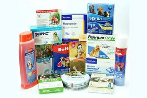 Лучшие спреи от клещей для собак