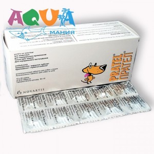 Состав пратела