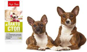 Лактостоп для собак: инструкция по применению и дозировка