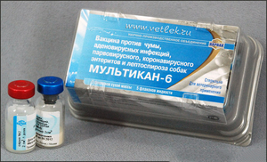 Вакцина Мультикан-6 - особенности применения