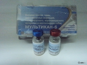 Какая доза препарата нужна