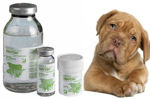 Лиарсин для собак: инструкция по применению        