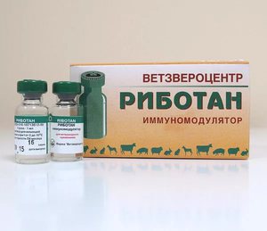 Применение препарата Риботана для собак