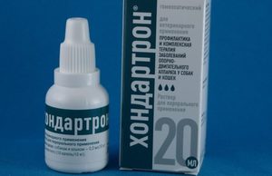 Как  давать препарат хондартрон