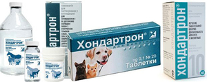 Хондартрон для собак: как применять и когда помогает