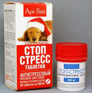 Стоп стресс для собак: когда и зачем давать препарат