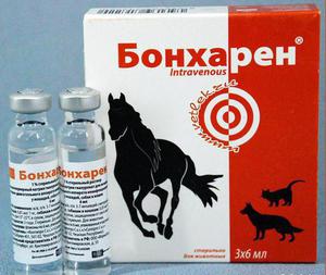 Что такое хондропротекторы