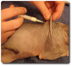 Как сделать укол