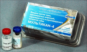 Мультикан для собак: инструкция по применению и дозировка