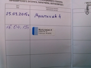 Прививки собак - препарат Мультикан-4