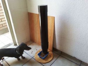 Как работает автоматическая кормушка для собак: обзор и принцип действия