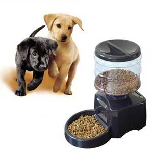 Автокормушка для собаки - как выбрать