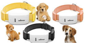 Ошейники для собак