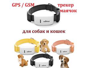 Разновидности современных ошейников