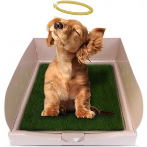 Лоток для собак мелких пород с пеленкой и столбиком