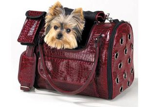 Как выбрать сумку-переноску для собаки: виды и советы по выбору