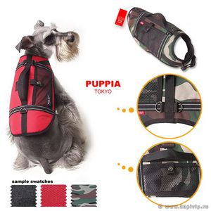 Разновидности шлейков