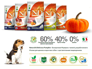 Питание собак сухими кормами