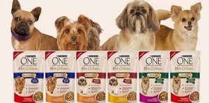 Корм Purina для мелких пород: обзор и рекомендации