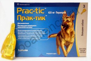 Капли от клещей «Практик» для собак: инструкция по применению