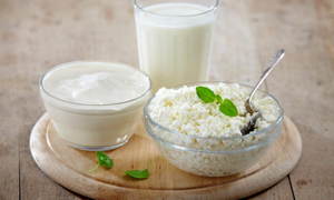 Творог и кефир для шпица