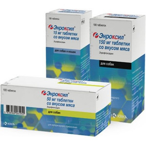 Как правильно применять антибиотики