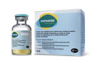 Особенности антибиотиков