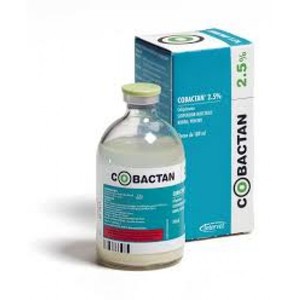 Антибиотики для собак: виды, спектр действия и применение