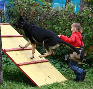 Ребёнок дрессирует собаку