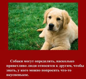 Интересный факт