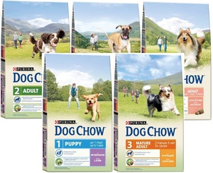 Корм Dog Chow для собак: состав, польза и назначение