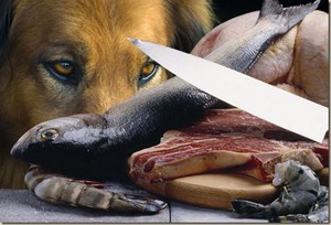 Какую еду нельзя есть щенку