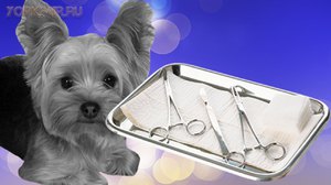 Какие есть виды кастрации