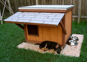 Требования к вольерам