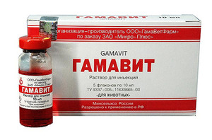 Гамавит для кошек