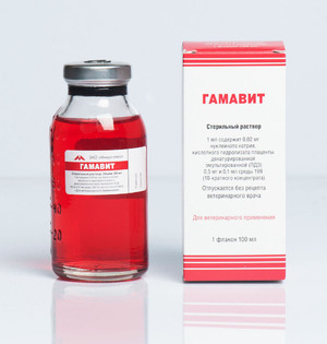 Гамавит для кошек и собак: инструкция по применению и дозировка