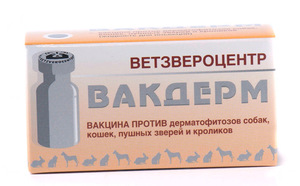 Как давать вакдерм