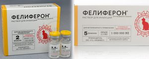 Фелиферон: инструкция по применению для кошек и собак