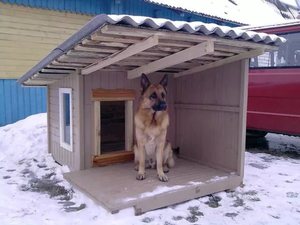 Как построить уютную будку для собаки своими руками: пошаговая инструкция