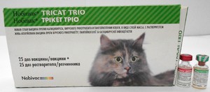 Инструкция по применению вакцины Нобивак для кошек