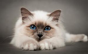 Диагностика и лечение