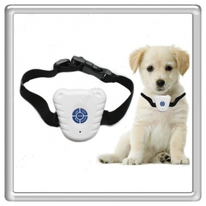 Ошейники «Антилай» для маленьких собак: тихие и эффективные